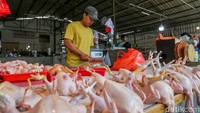 Pemerintah Pastikan Beras hingga Daging Ayam dalam Kondisi Surplus