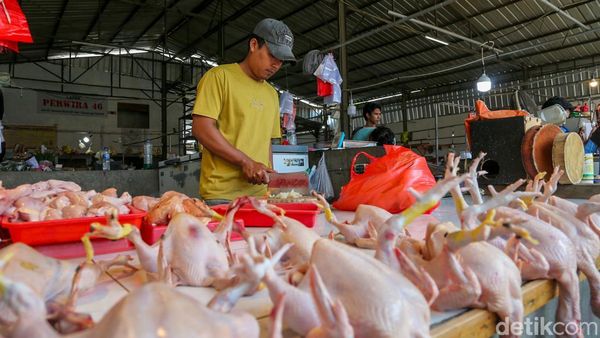 Pemerintah Pastikan Beras hingga Daging Ayam dalam Kondisi Surplus