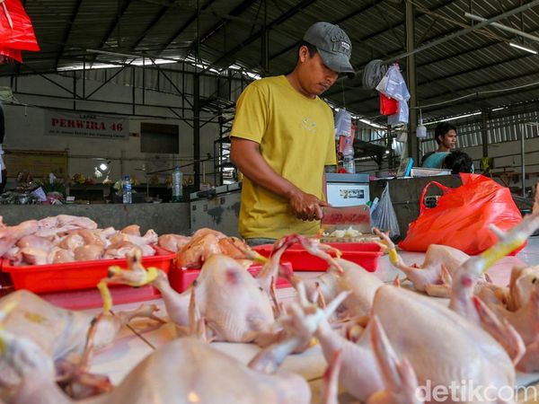 Pemerintah Pastikan Beras hingga Daging Ayam dalam Kondisi Surplus