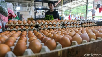 Mentan Ungkap Anomali Harga Telur: Stok Melimpah, tapi Harga Naik