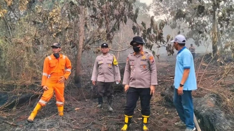Karhutla Hanguskan 19 Hektare Hutan Konservasi, Polisi Selidiki Asal Mula Api