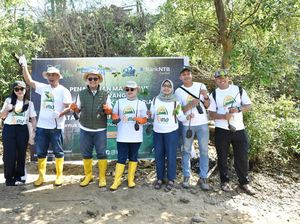 Rayakan HUT ke-62, Bank NTB Syariah Tanam Mangrove di Pesisir Paremas