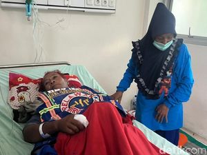 Tangan Digigit hingga Operasi, Relawan Mojokerto Akan Tangkap Kobra Lagi
