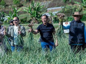 Satgas Pangan Polri Panen 1.470 Ton Bawang Putih di Lombok Timur