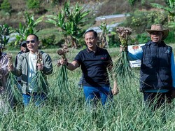 Satgas Pangan Polri Panen 1.470 Ton Bawang Putih di Lombok Timur