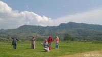 Viral Sawah Bergaya Sabana di Prambanan, Petani Protes Lahan Jadi Tempat Bikin Konten