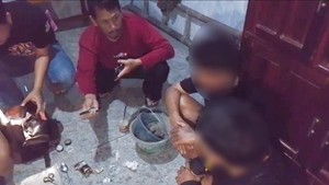 Polisi Ungkap Rumah Produksi Ganja Sinte Pemalang, 2 Pelaku Dibekuk