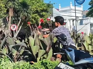 Denda Rp 5 Juta Menanti Pemuda Pencuri Bunga di Jalur Hijau Surabaya