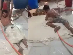 Viral Video Bikin Nugget di India, Pegawai Guling-guling di Atas Adonan!