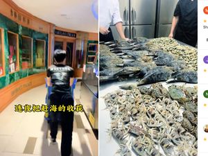 Diduga Masak Seafood Hasil Mungut di Pantai, Resto Ini Dapat Rating Jelek!