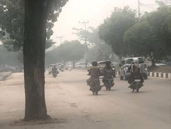 Karhutla Tumbang Nusa Belum Padam, Kabut Asap Selimuti Palangka Raya