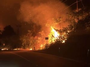 Api Lalap Lahan di Jalur Trans Kalimantan Sanggau, Lalin Sempat Tersendat