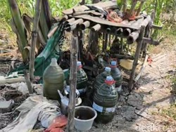Cerita Petani di Semarang Angkat 5 Galon Air untuk Aliri Sawah yang Kekeringan