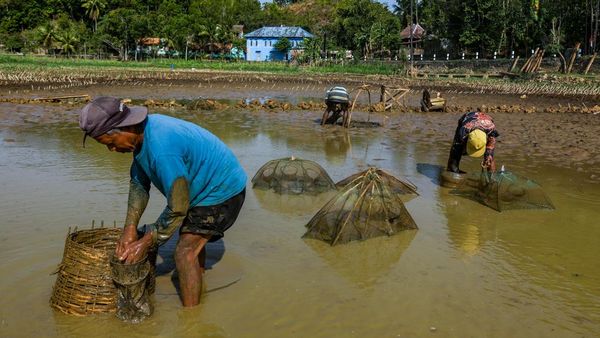Kemarau Panjang, Ratusan Telaga di Gunungkidul Mengering