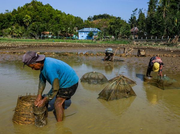 Kemarau Panjang, Ratusan Telaga di Gunungkidul Mengering