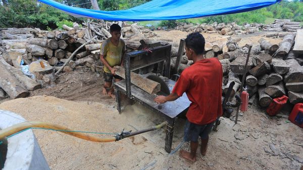 Limbah Kayu Aceh Barat Diolah Jadi Biomassa untuk Pasok Energi PLTU