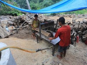 Limbah Kayu Aceh Barat Diolah Jadi Biomassa untuk Pasok Energi PLTU