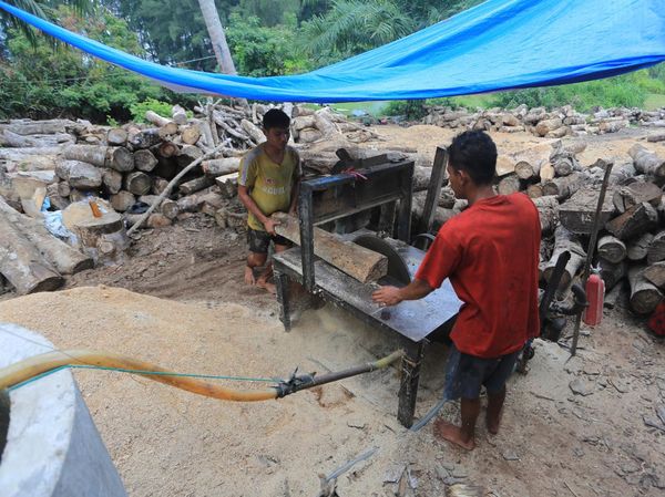 Limbah Kayu Aceh Barat Diolah Jadi Biomassa untuk Pasok Energi PLTU