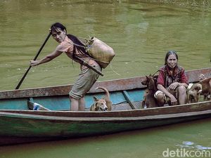Nasib 111 Jiwa Suku Punan Batu yang Menanti Kepastian Hutan Adat