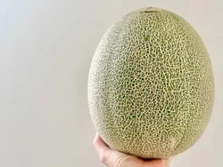 Wow! Melon Hantu Super Manis Ini Dibanderol Rp500 Ribu