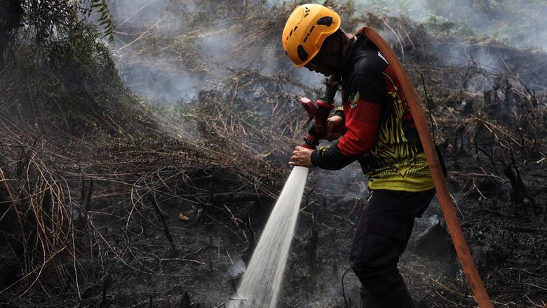 Hari Ke-10 Pemadaman Kebakaran Lahan Gambut di Riau
