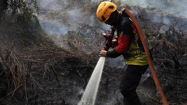 Potret Upaya Pemadaman Kebakaran Lahan Gambut di Kubu Raya