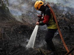 Potret Upaya Pemadaman Kebakaran Lahan Gambut di Kubu Raya