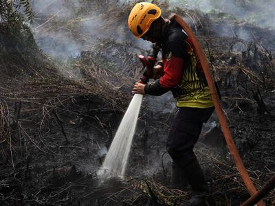 Potret Upaya Pemadaman Kebakaran Lahan Gambut di Kubu Raya