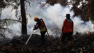 Pemadaman Karhutla Terus Berlangsung di Kubu Raya Saat Status Siaga