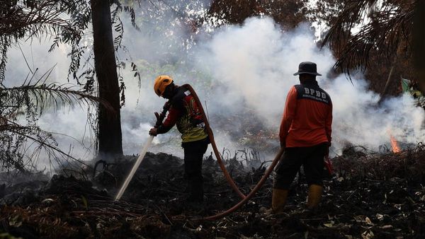 Pemadaman Karhutla Terus Berlangsung di Kubu Raya Saat Status Siaga