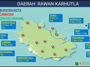 Riau Masuk 6 Daerah Langganan Karhutla, 159 Desa/Kelurahan Jadi Perhatian Serius