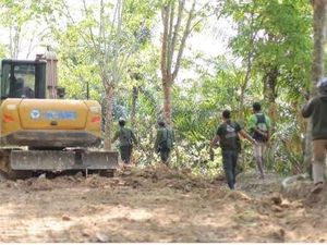 2 Orang Jadi Tersangka Kasus Perambahan Hutan TNBBS Lampung