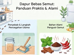 Rumah Bersih tapi Masih Banyak Semut? Ini Biang Keroknya