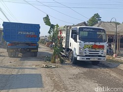 Protes Warga Blitar Tanami Jalan Rusak dengan Pohon Pisang