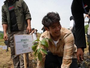 Jos! Jerhemy Owen Tebang 10 Hektar Sawit Ilegal demi 250 Ribu Pohon di Aceh