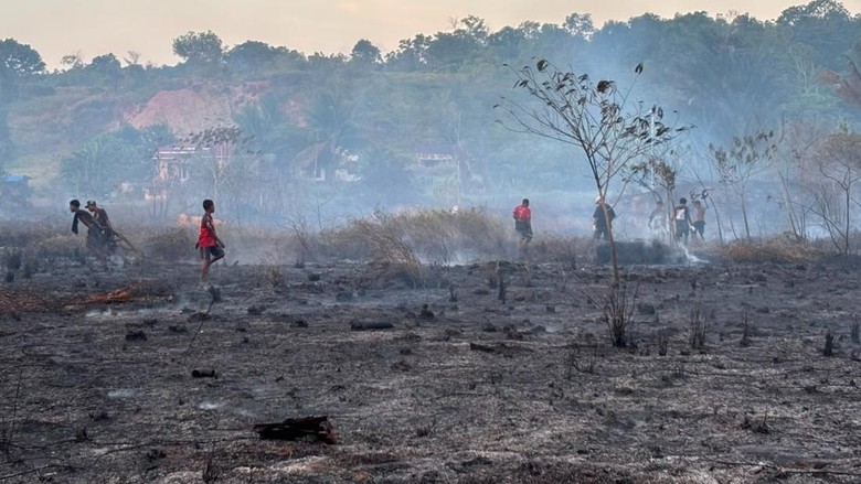 BMKG Catat Ada Ratusan Titik Api, Papua Siaga Hadapi Karhutla
