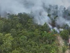 8 Daerah di Sumsel Masuk Zona Merah Karhutla, Palembang 35 Kejadian