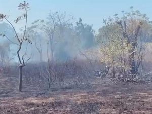 Kebakaran Lahan Melanda Dua Lokasi di Karangasem dalam Sehari, 5 Hektare Hangus