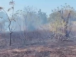 Kebakaran Lahan Melanda Dua Lokasi di Karangasem dalam Sehari, 5 Hektare Hangus