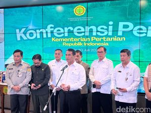 Mentan Jamin Stok Beras Aman Lewati El Nino, Segini Besarnya