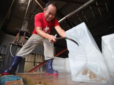 Pabrik Es di Yangzhou Kebanjiran Permintaan Saat Musim Panas
