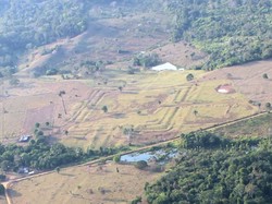Peradaban Misterius Aquiry dan Jejak Tersembunyi di Hutan Amazon
