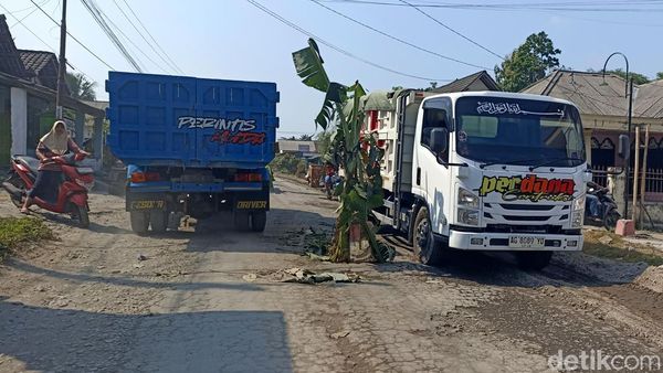 Jalan Rusak Ditanami Pohon Pisang di Blitar