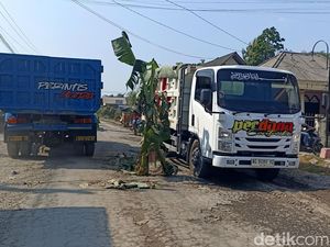Jalan Rusak Ditanami Pohon Pisang di Blitar