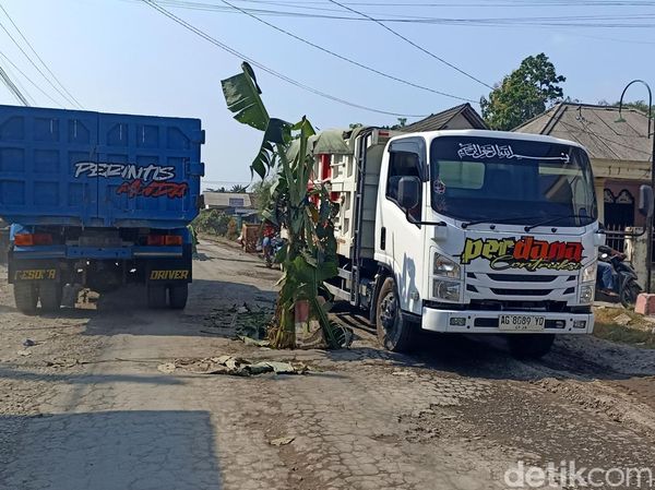 Jalan Rusak Ditanami Pohon Pisang di Blitar