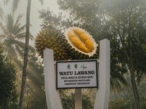 Wisata Duren Sari Trenggalek, Hutan Durian Terbesar di Asia Tenggara