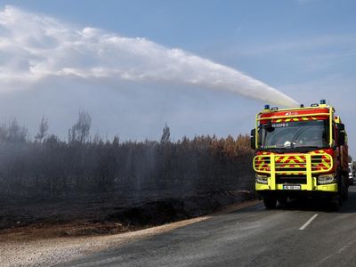 Gelombang Panas Picu Bencana, Kebakaran Hutan Terjang Prancis Barat Daya