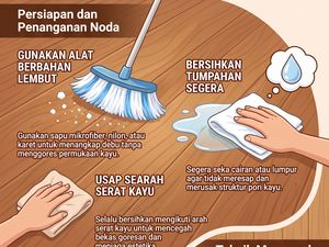 Infografis: Bikin Lantai Kayu Kinclong Perlu Siasat Khusus, Begini Caranya