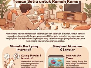Infografis: 6 Hewan Peliharaan yang Mudah Perawatannya