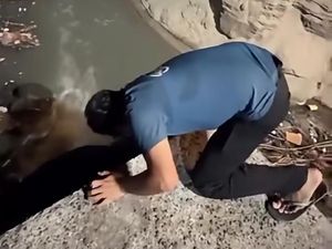Duh! Limbah Cemari Pantai Berawa, Sumbernya Diduga dari Tempat Hiburan Malam